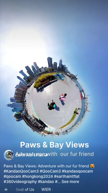Paws & Bay Views